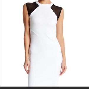 French Connection Viven' Mesh Inset Body-Con Dress sz 4 NWT